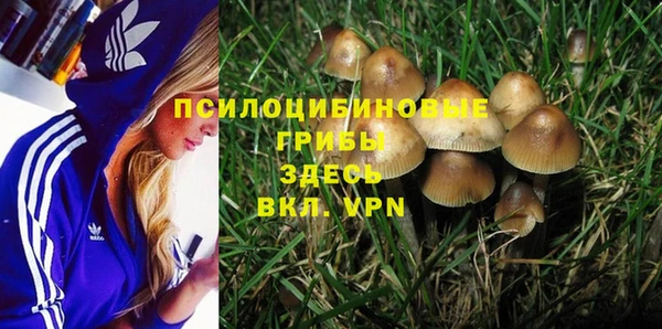соль курить ск Алексеевка