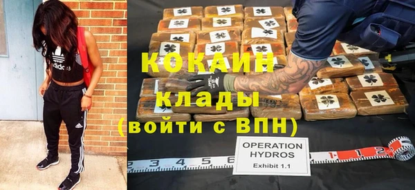 дмт Алзамай