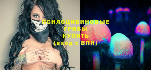 дмт Алзамай
