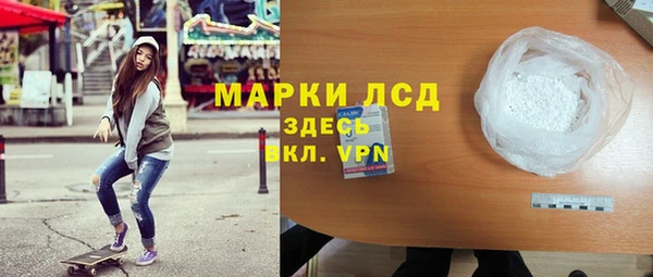 дмт Алзамай