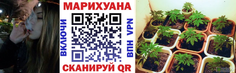 где найти наркотики  Урай  Каннабис конопля 